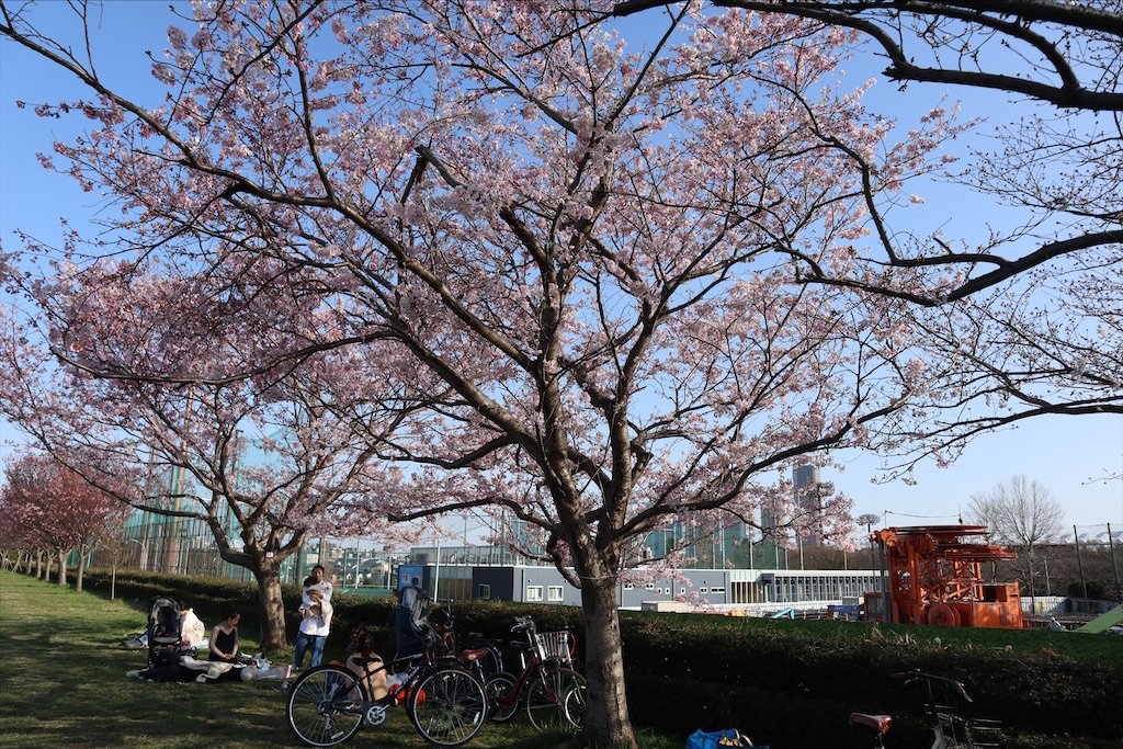 f:id:chizuchizuko:20200410213056j:plain f:id:chizuchizuko:20200410213056j:plain