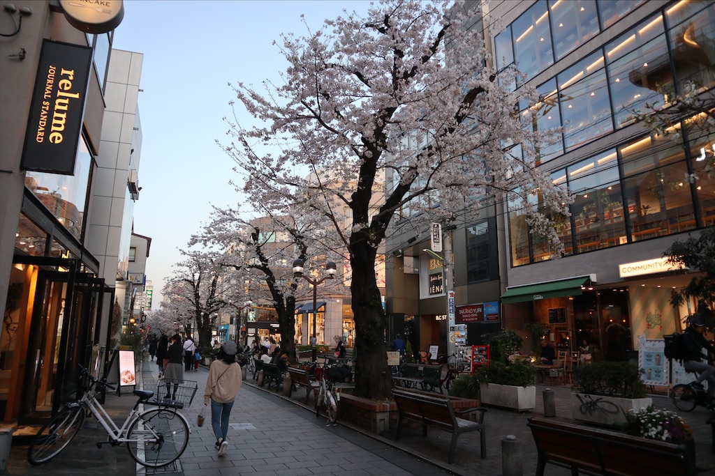 f:id:chizuchizuko:20200410213104j:plain f:id:chizuchizuko:20200410213104j:plain