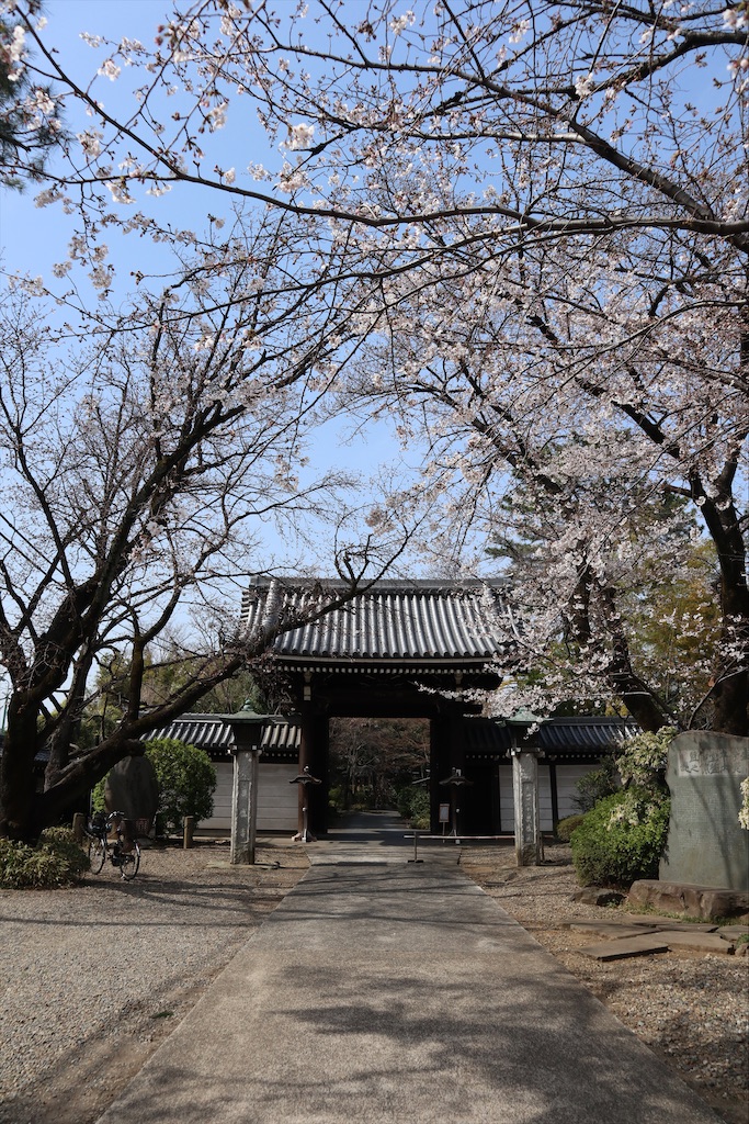 f:id:chizuchizuko:20200410213116j:plain f:id:chizuchizuko:20200410213116j:plain