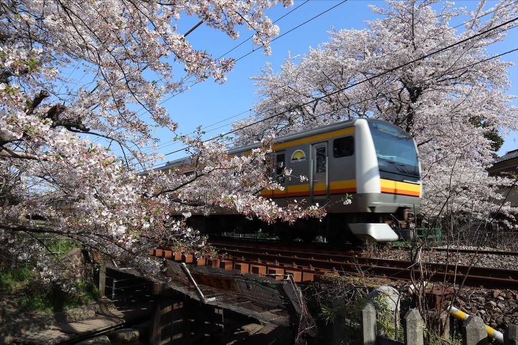 f:id:chizuchizuko:20200410213127j:plain f:id:chizuchizuko:20200410213127j:plain