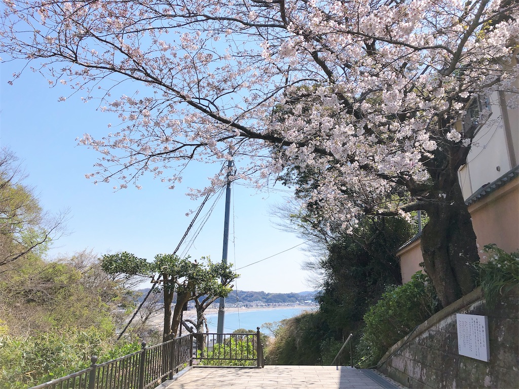 f:id:chizuchizuko:20200410213147j:plain f:id:chizuchizuko:20200410213147j:plain