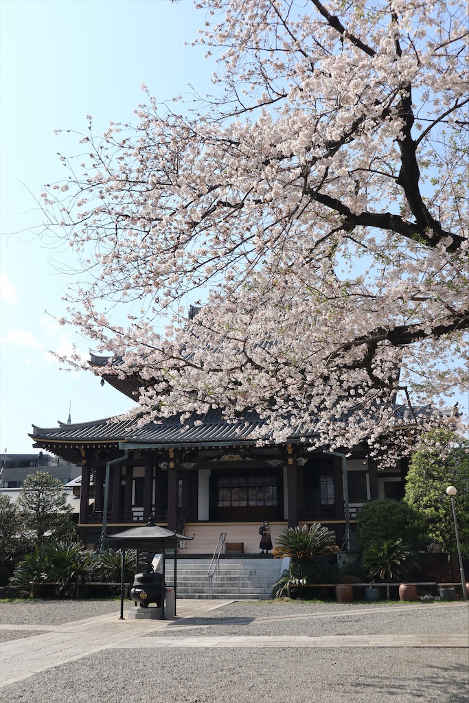 f:id:chizuchizuko:20200410213205j:plain f:id:chizuchizuko:20200410213205j:plain