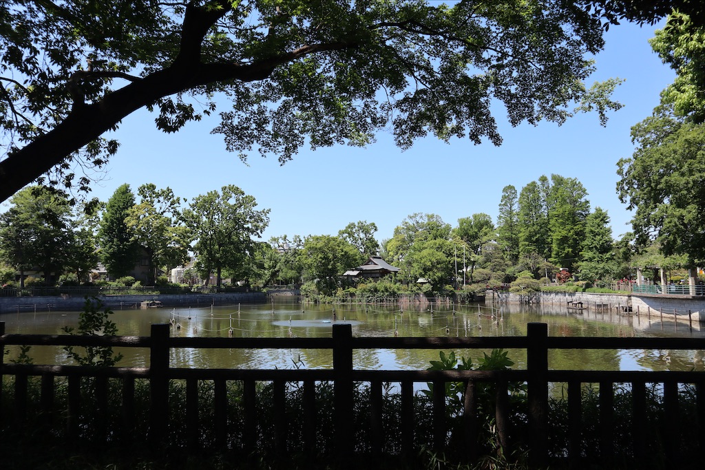 f:id:chizuchizuko:20200514233359j:image f:id:chizuchizuko:20200514233359j:image
