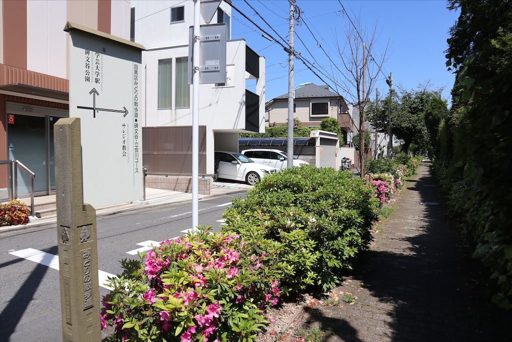 f:id:chizuchizuko:20200514233517j:image f:id:chizuchizuko:20200514233517j:image