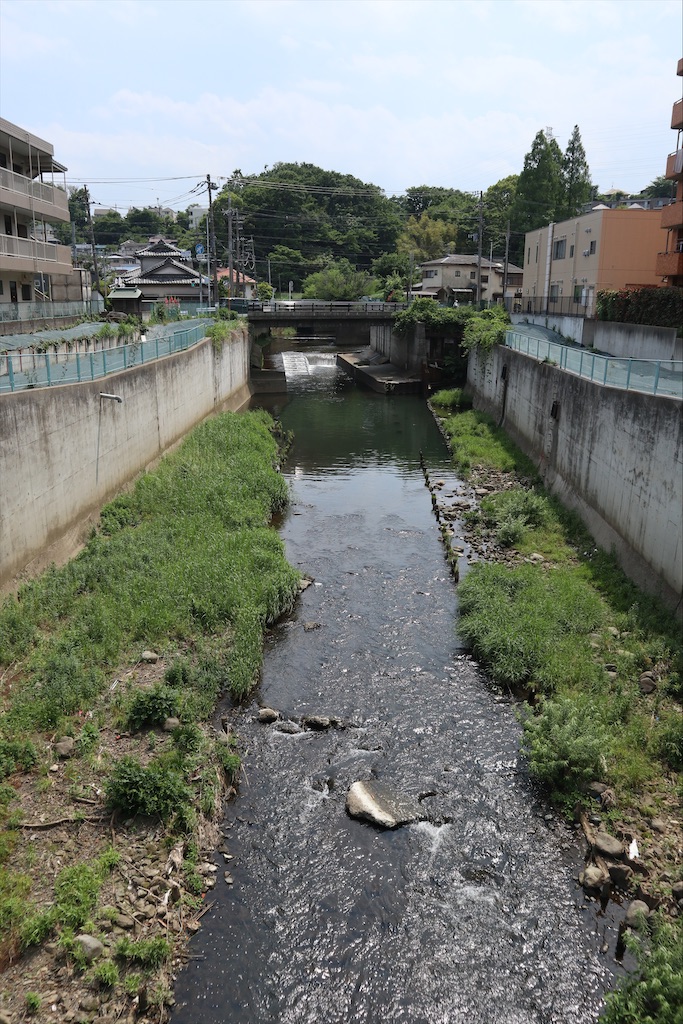 f:id:chizuchizuko:20200604110604j:plain