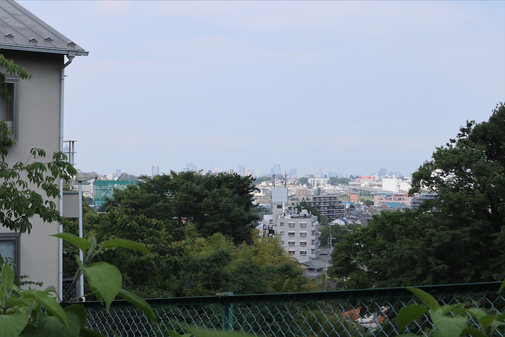 f:id:chizuchizuko:20200604110642j:plain