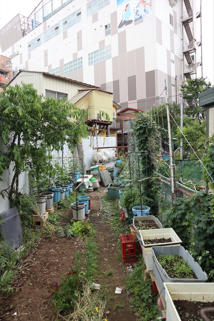 f:id:chizuchizuko:20200604110832j:image f:id:chizuchizuko:20200604110832j:image