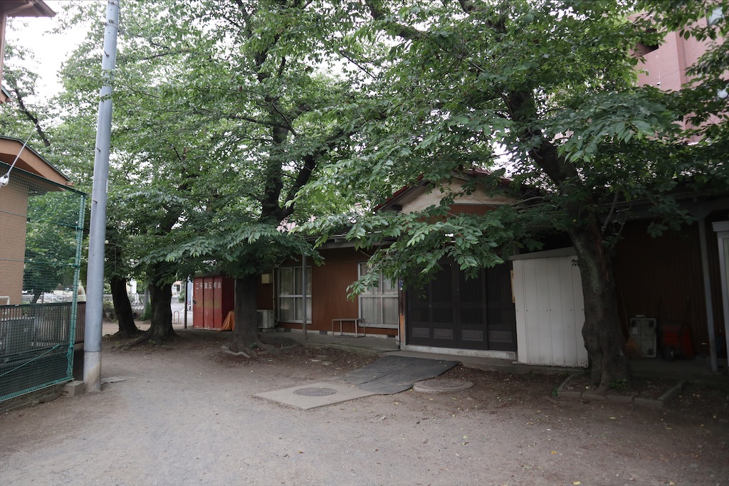 f:id:chizuchizuko:20200604110905j:image f:id:chizuchizuko:20200604110905j:image