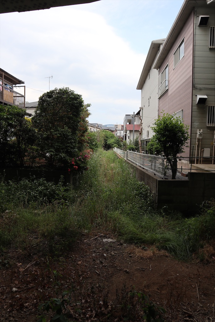 f:id:chizuchizuko:20200604110912j:plain f:id:chizuchizuko:20200604110912j:plain