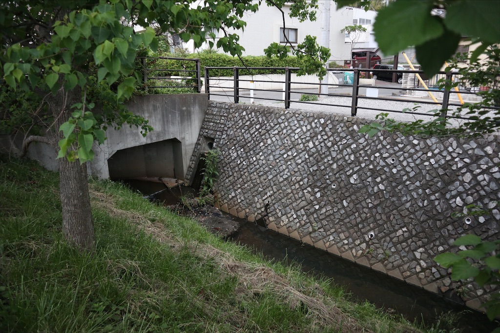 f:id:chizuchizuko:20200604111405j:plain f:id:chizuchizuko:20200604111405j:plain