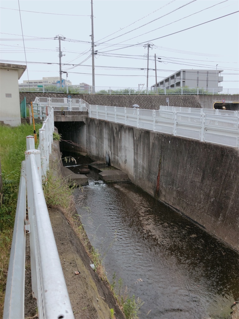 f:id:chizuchizuko:20200604111411j:plain f:id:chizuchizuko:20200604111411j:plain