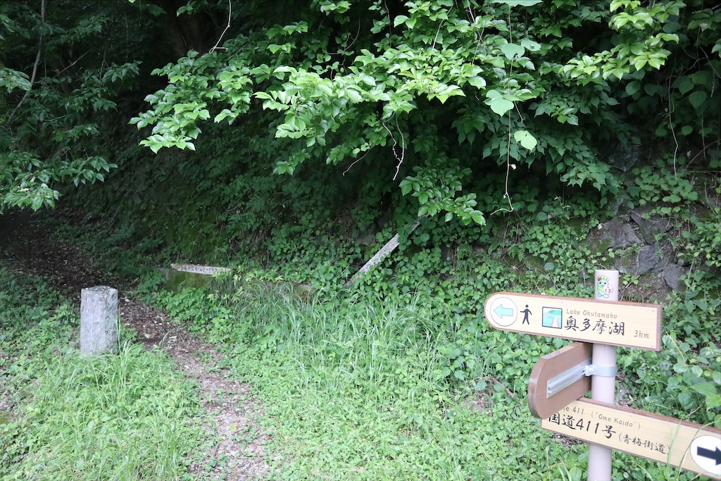 f:id:chizuchizuko:20200618221909j:plain f:id:chizuchizuko:20200618221909j:plain