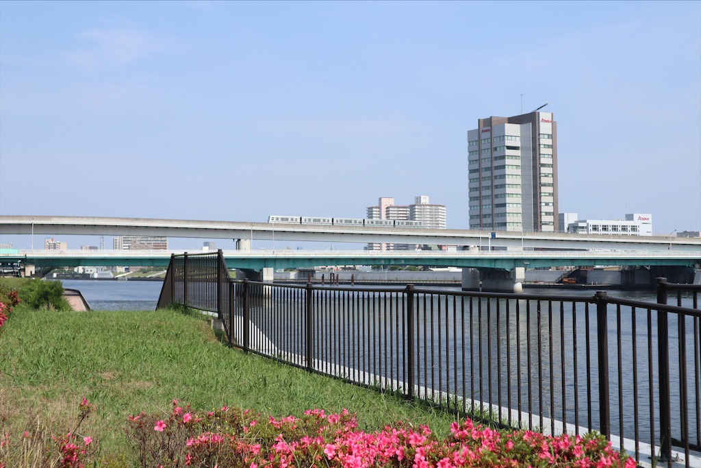 f:id:chizuchizuko:20200628152725j:image