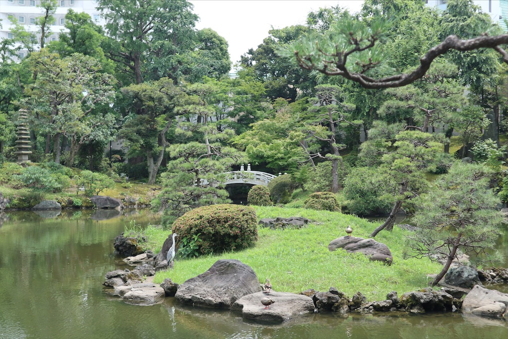 f:id:chizuchizuko:20200628161347j:image