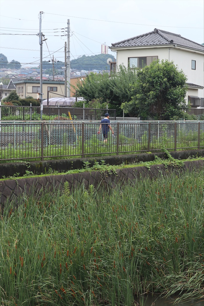 f:id:chizuchizuko:20200725105305j:image f:id:chizuchizuko:20200725105305j:image