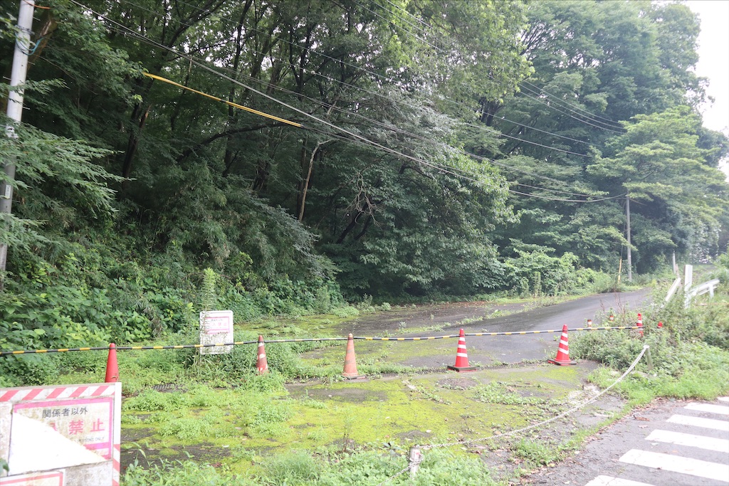 f:id:chizuchizuko:20200725105346j:image f:id:chizuchizuko:20200725105346j:image