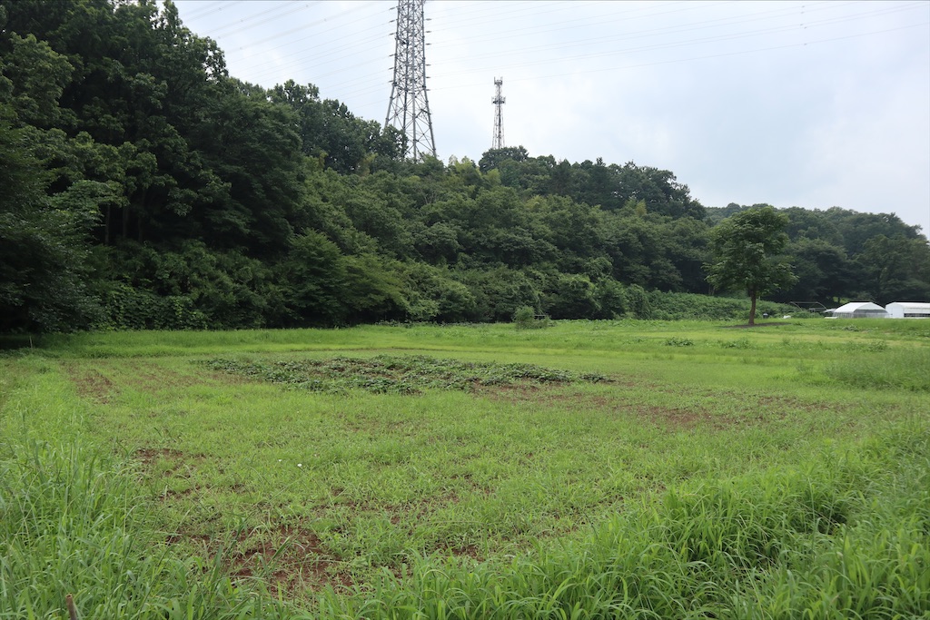 f:id:chizuchizuko:20200725105445j:image f:id:chizuchizuko:20200725105445j:image