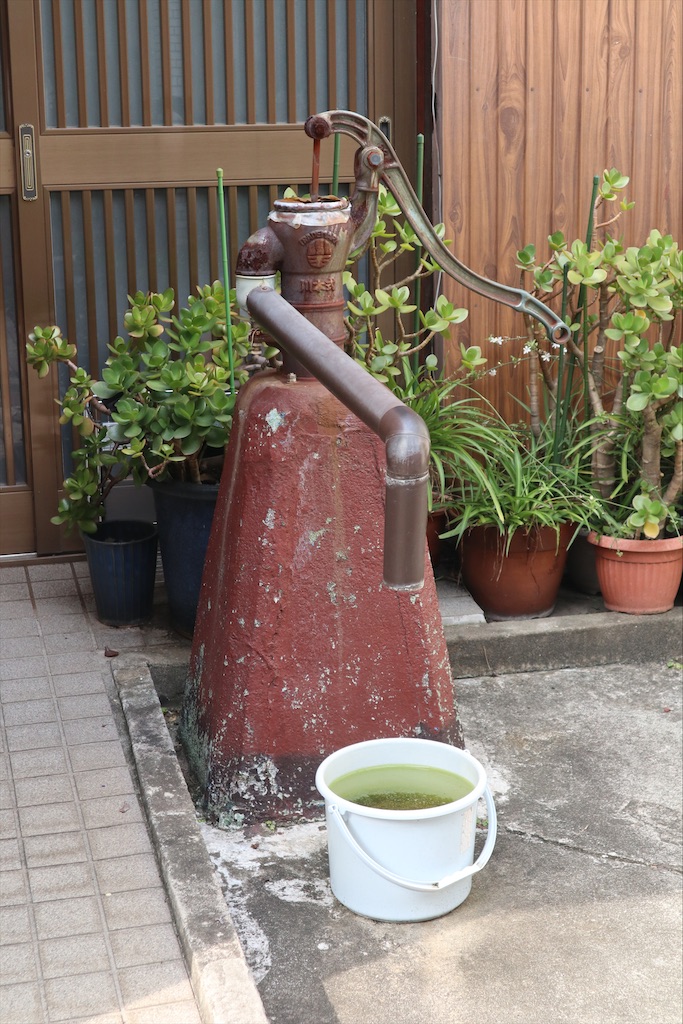 f:id:chizuchizuko:20201004090504j:image f:id:chizuchizuko:20201004090504j:image