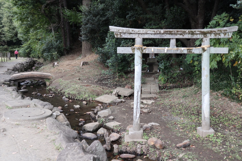f:id:chizuchizuko:20201101181744j:image f:id:chizuchizuko:20201101181744j:image