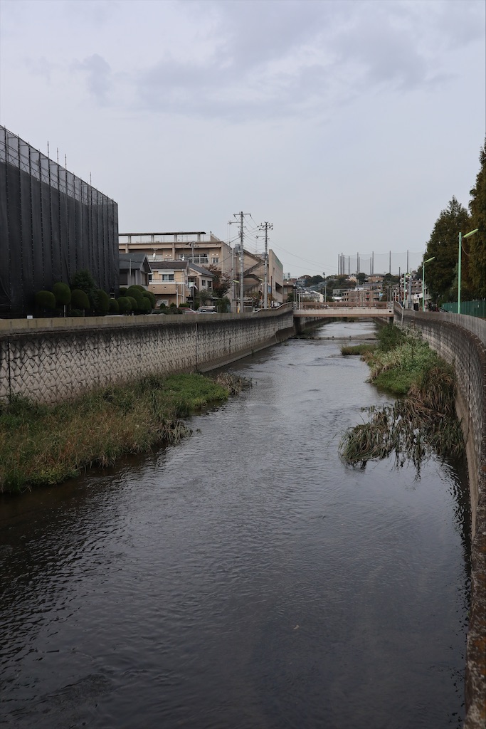 f:id:chizuchizuko:20201101181815j:image f:id:chizuchizuko:20201101181815j:image