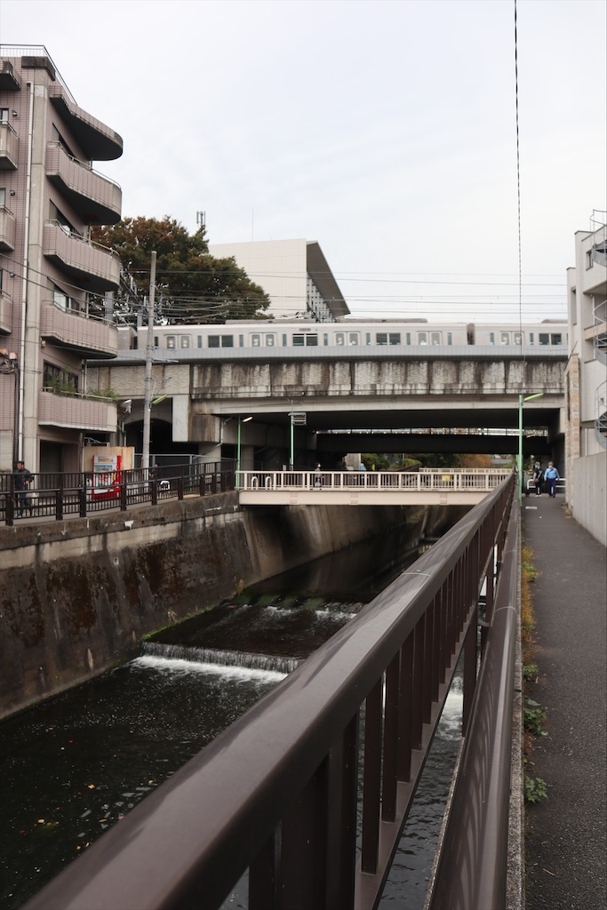 f:id:chizuchizuko:20201101182008j:image f:id:chizuchizuko:20201101182008j:image