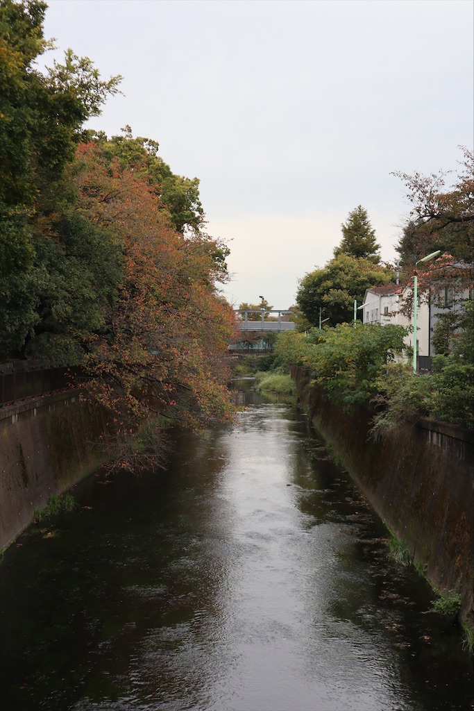 f:id:chizuchizuko:20201101182014j:image f:id:chizuchizuko:20201101182014j:image