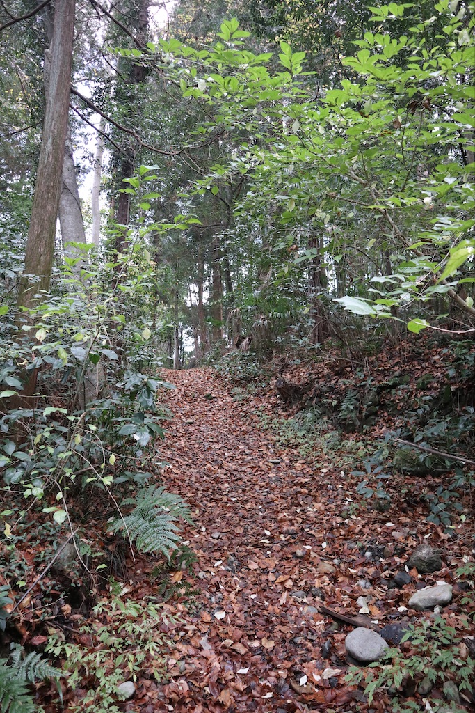 f:id:chizuchizuko:20201126222141j:plain