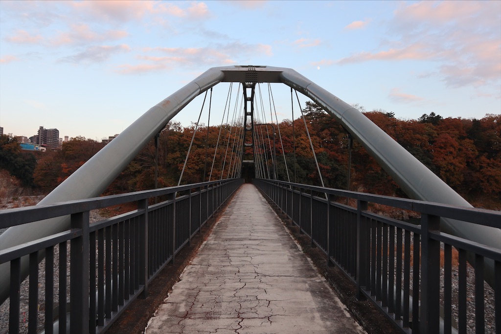 f:id:chizuchizuko:20201126222304j:image