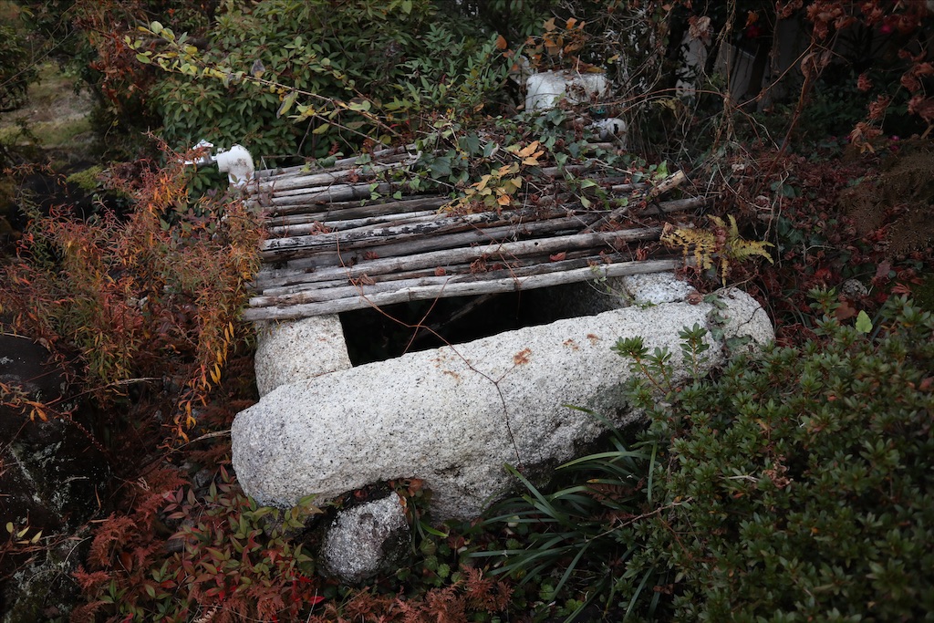 f:id:chizuchizuko:20201126222311j:plain