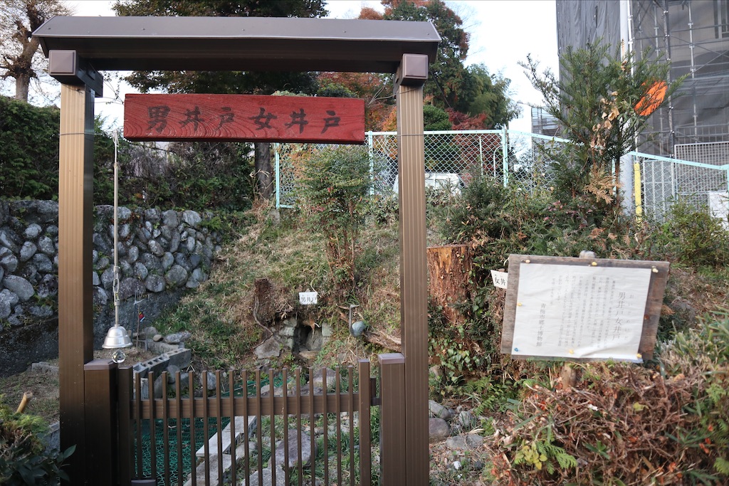 f:id:chizuchizuko:20201126222328j:plain