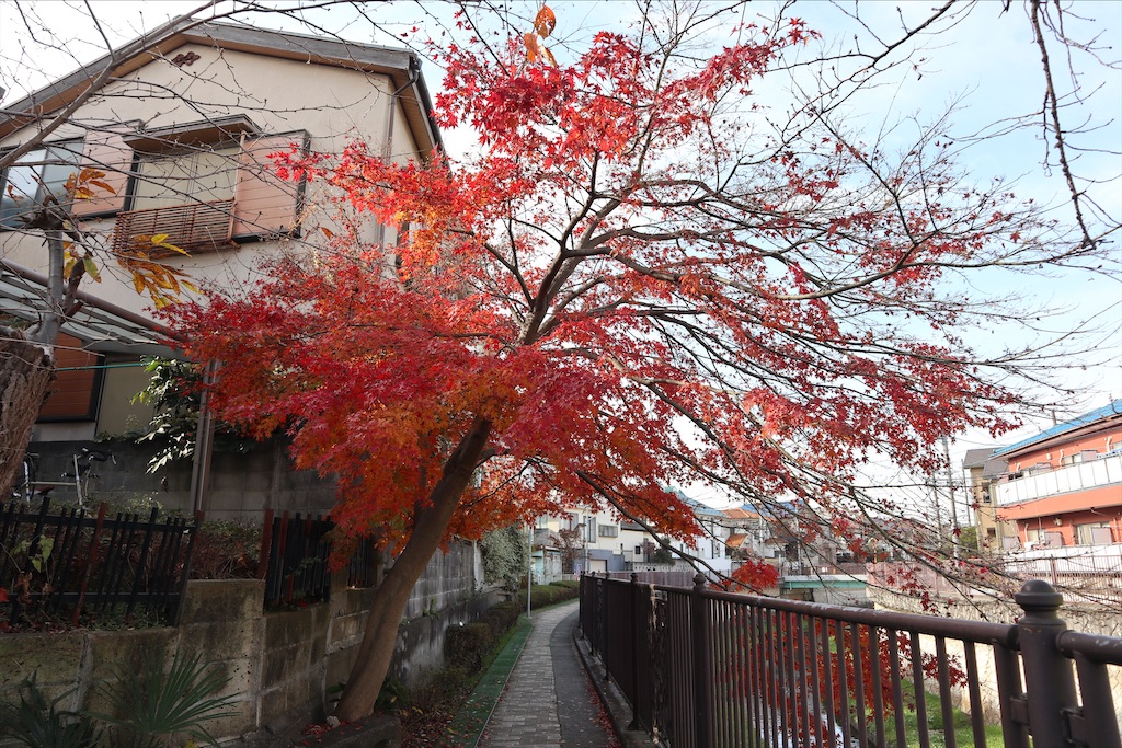 f:id:chizuchizuko:20201213201550j:plain
