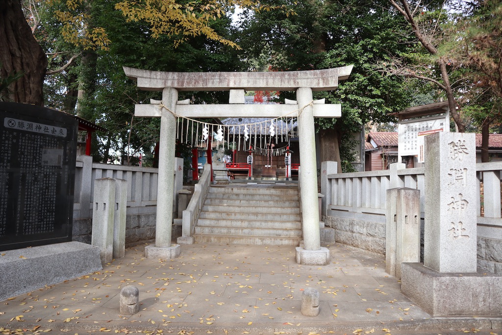 f:id:chizuchizuko:20201213201812j:image