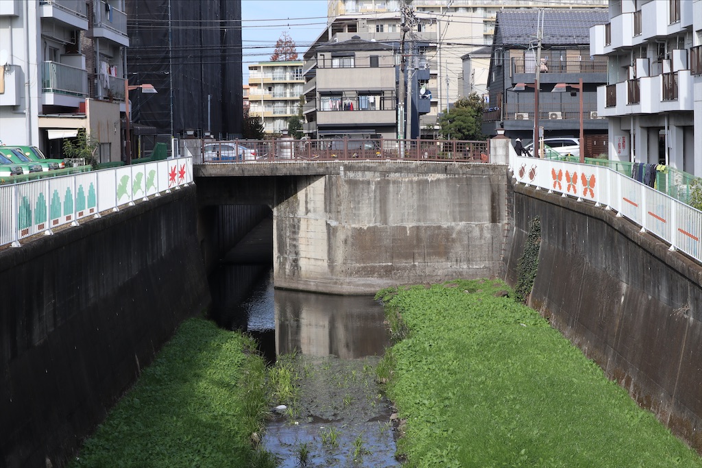 f:id:chizuchizuko:20201213201900j:image