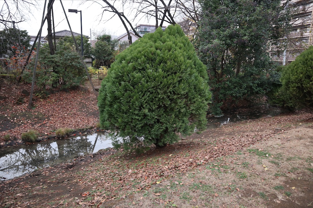 f:id:chizuchizuko:20201213202603j:image f:id:chizuchizuko:20201213202603j:image