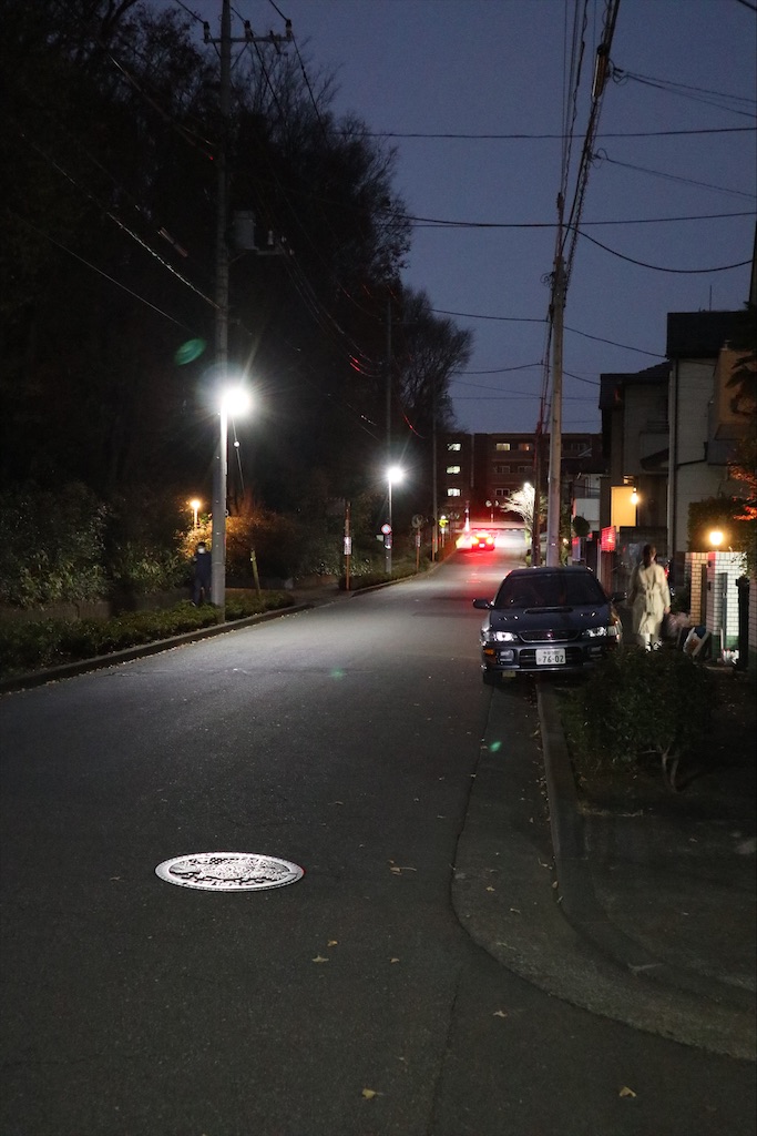 f:id:chizuchizuko:20201213203045j:image f:id:chizuchizuko:20201213203045j:image
