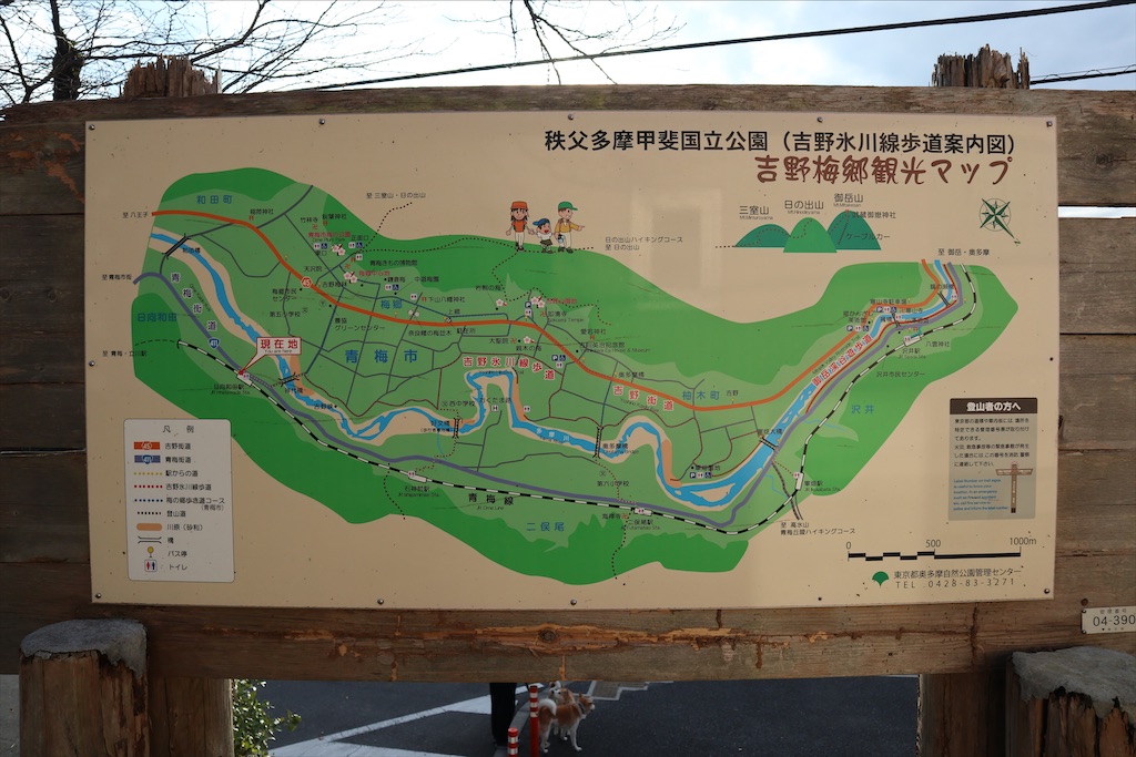 f:id:chizuchizuko:20201225195604j:image