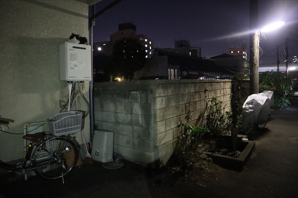 f:id:chizuchizuko:20210123143518j:image