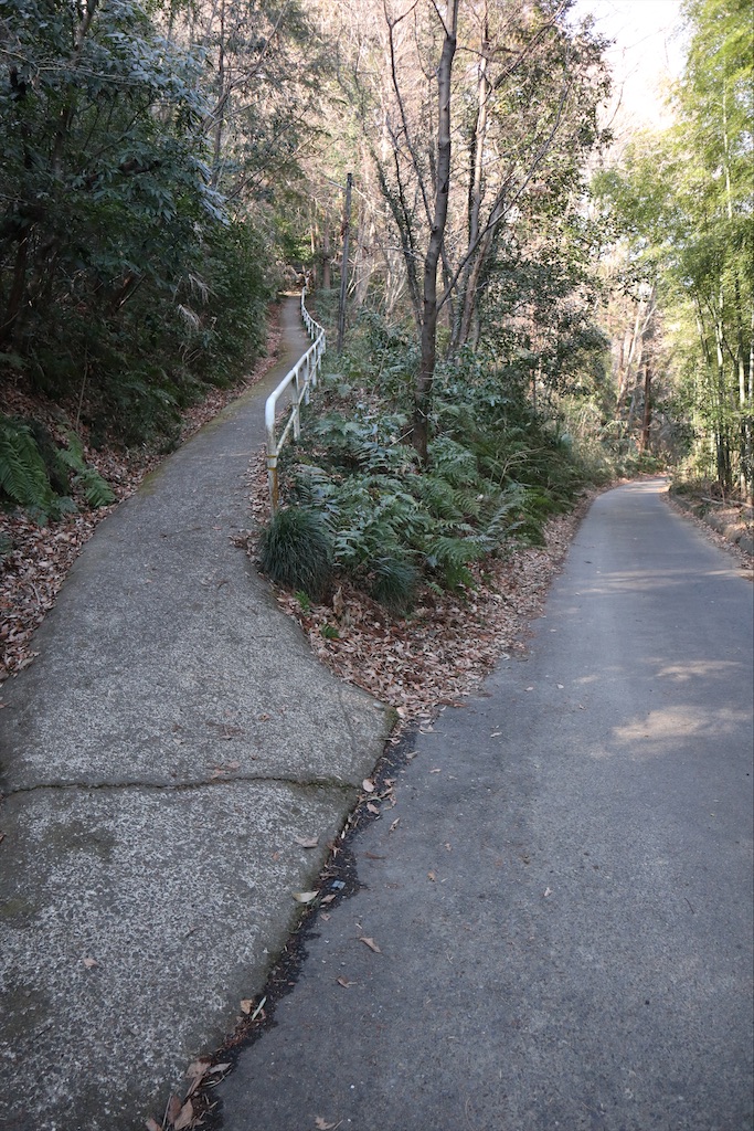 f:id:chizuchizuko:20210131135557j:plain