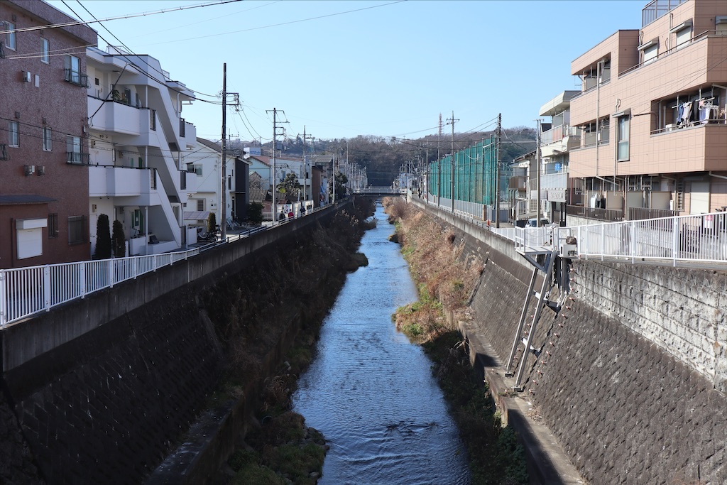 f:id:chizuchizuko:20210205231955j:image f:id:chizuchizuko:20210205231955j:image