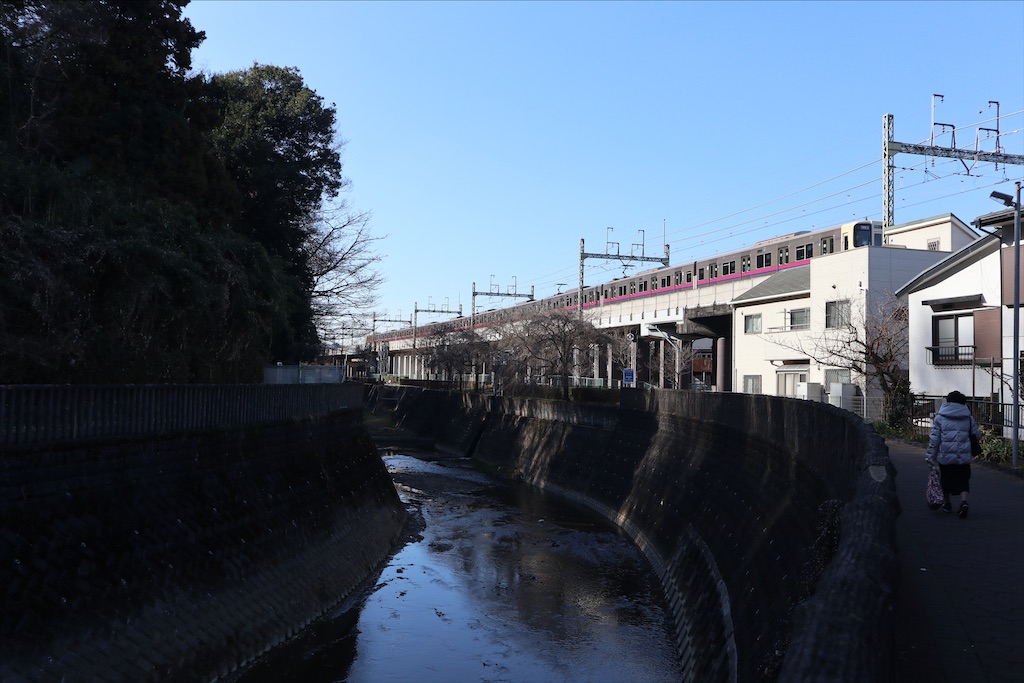 f:id:chizuchizuko:20210205232242j:image f:id:chizuchizuko:20210205232242j:image