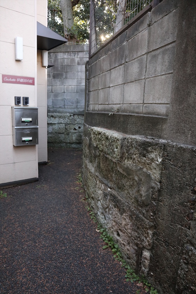 f:id:chizuchizuko:20210213221423j:image f:id:chizuchizuko:20210213221423j:image
