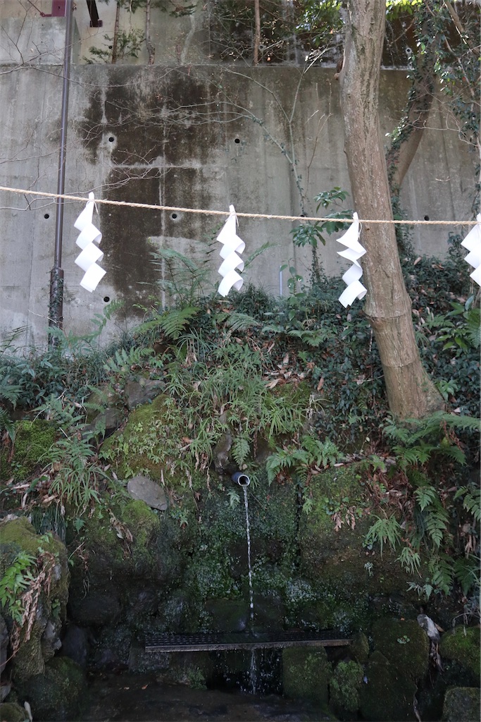 f:id:chizuchizuko:20210314163517j:image f:id:chizuchizuko:20210314163517j:image