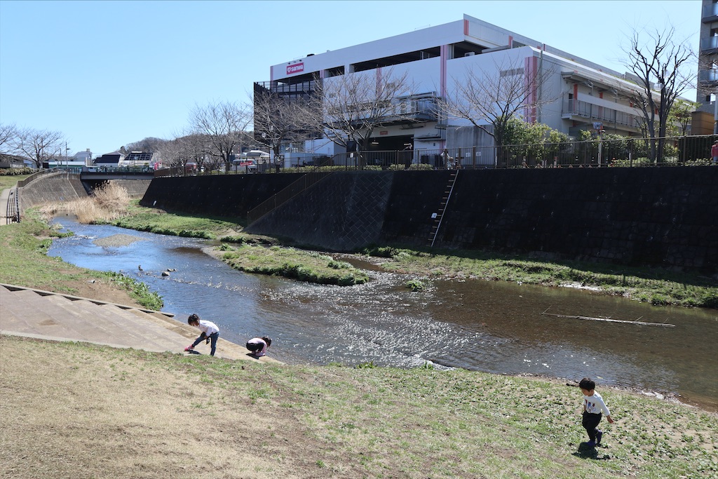 f:id:chizuchizuko:20210314163545j:image f:id:chizuchizuko:20210314163545j:image