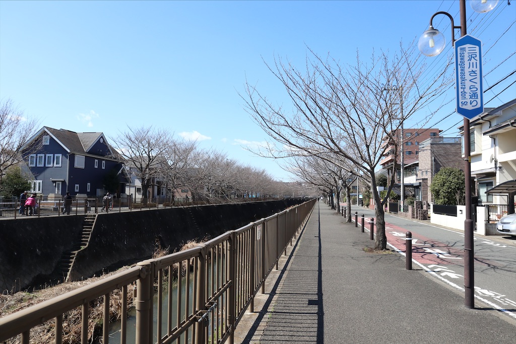 f:id:chizuchizuko:20210314163610j:image f:id:chizuchizuko:20210314163610j:image