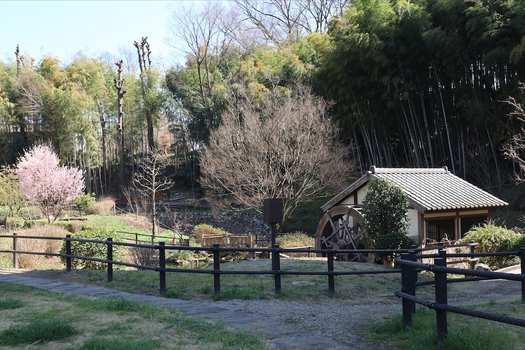 f:id:chizuchizuko:20210314163732j:image f:id:chizuchizuko:20210314163732j:image