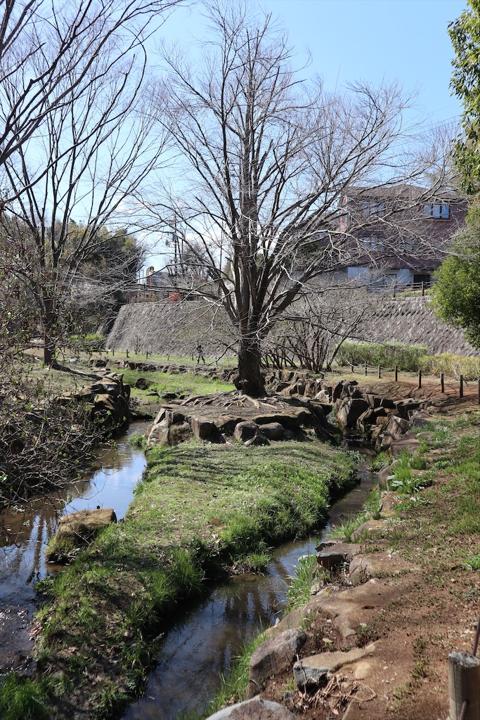 f:id:chizuchizuko:20210314163744j:image f:id:chizuchizuko:20210314163744j:image