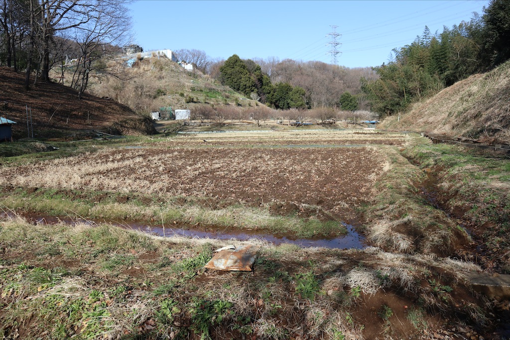 f:id:chizuchizuko:20210314164105j:image f:id:chizuchizuko:20210314164105j:image