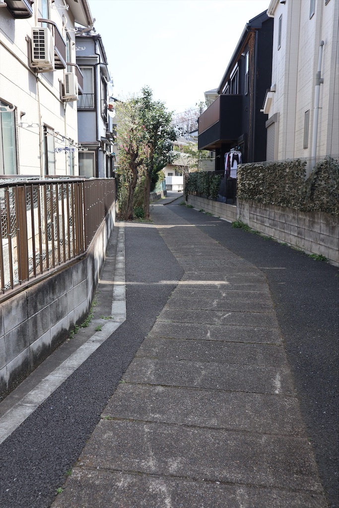 f:id:chizuchizuko:20210319190451j:image