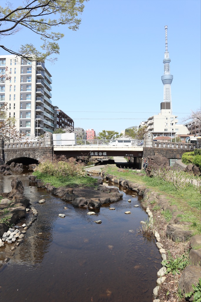 f:id:chizuchizuko:20210401080156j:image