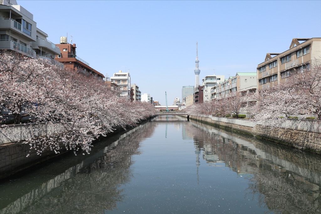 f:id:chizuchizuko:20210401080250j:image